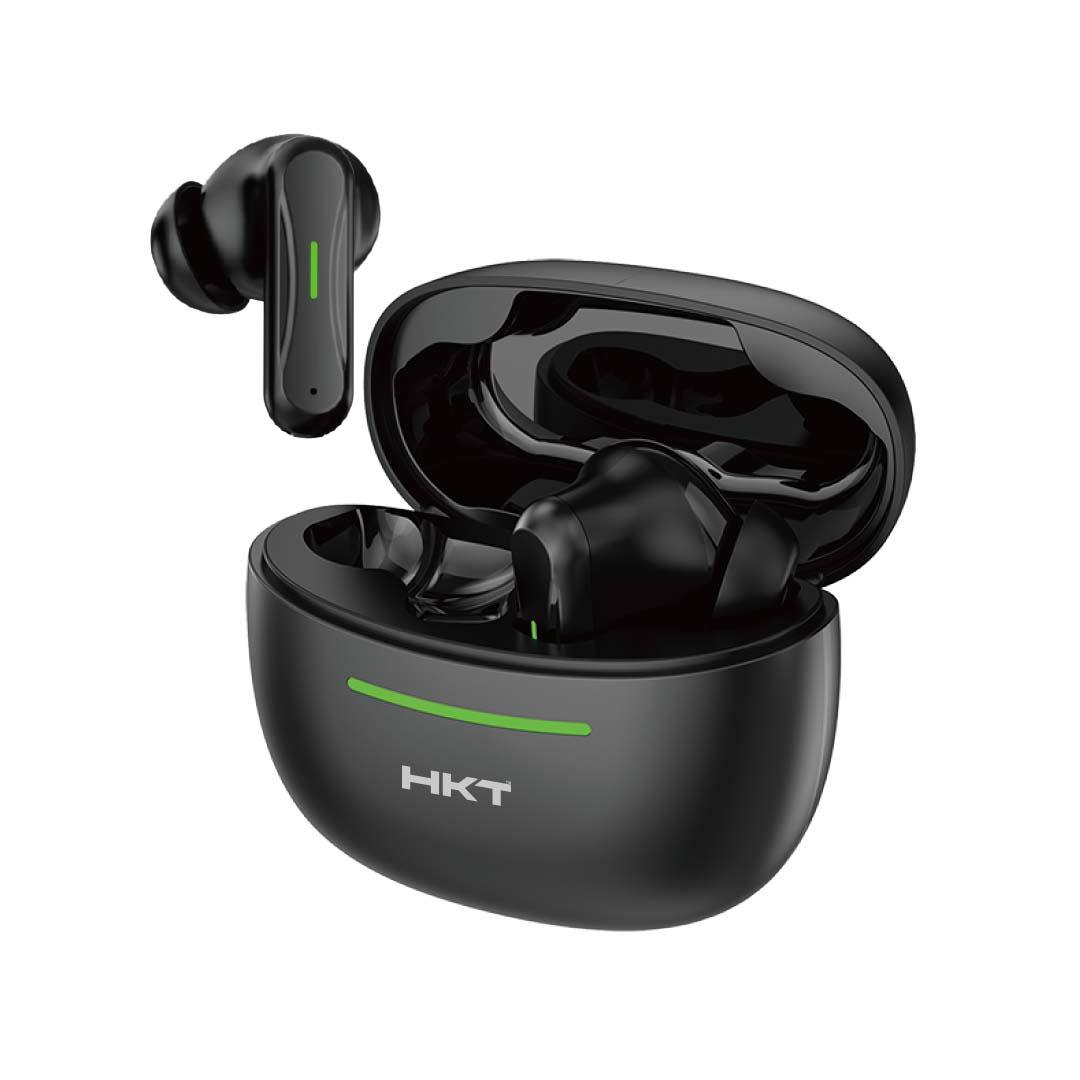 Due Earbuds